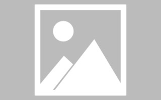 临邑网页优化和设计人才（网站优化职位）